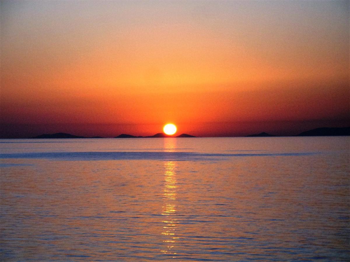 Alba Stupendo Appartamento In Villa Fronte Mare - Golfo Dell'Asinara - Internet Free Valledoria  Dış mekan fotoğraf
