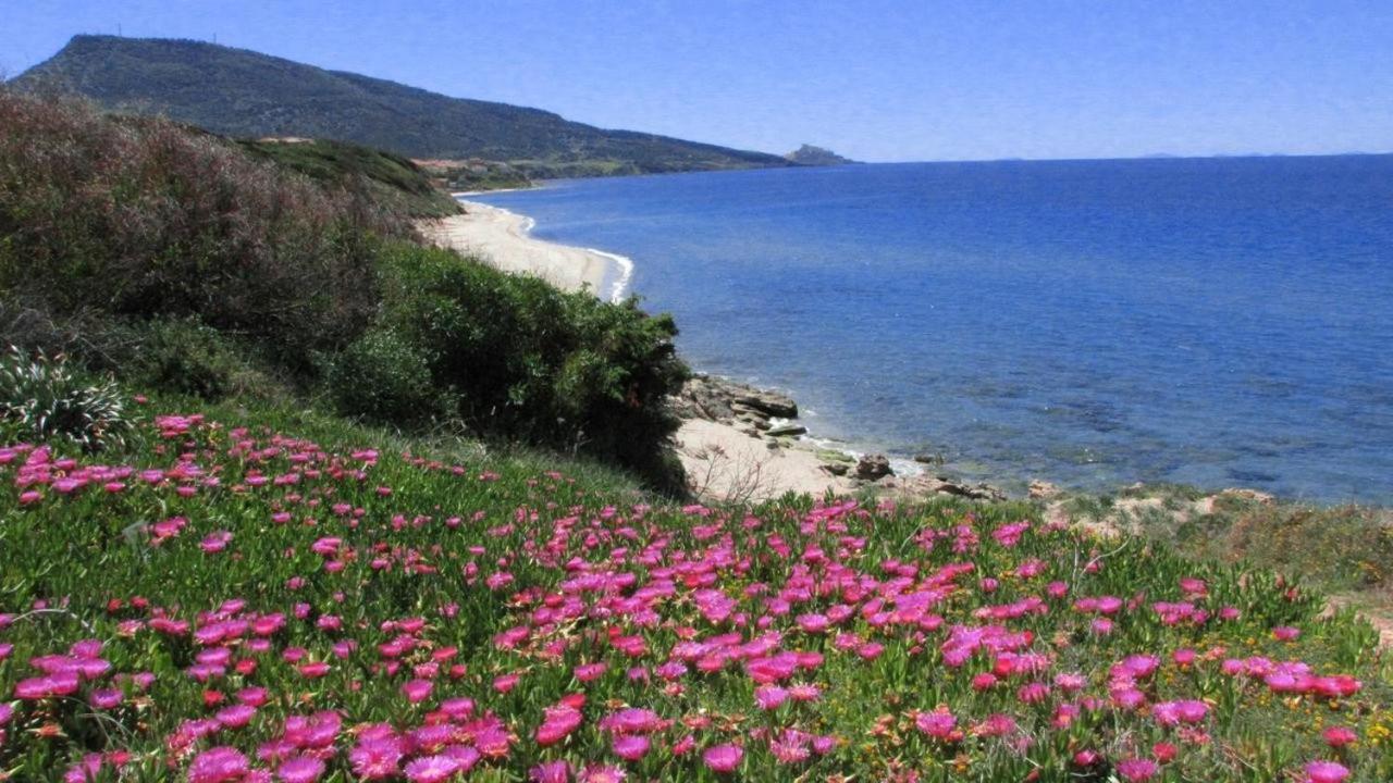 Alba Stupendo Appartamento In Villa Fronte Mare - Golfo Dell'Asinara - Internet Free Valledoria  Dış mekan fotoğraf