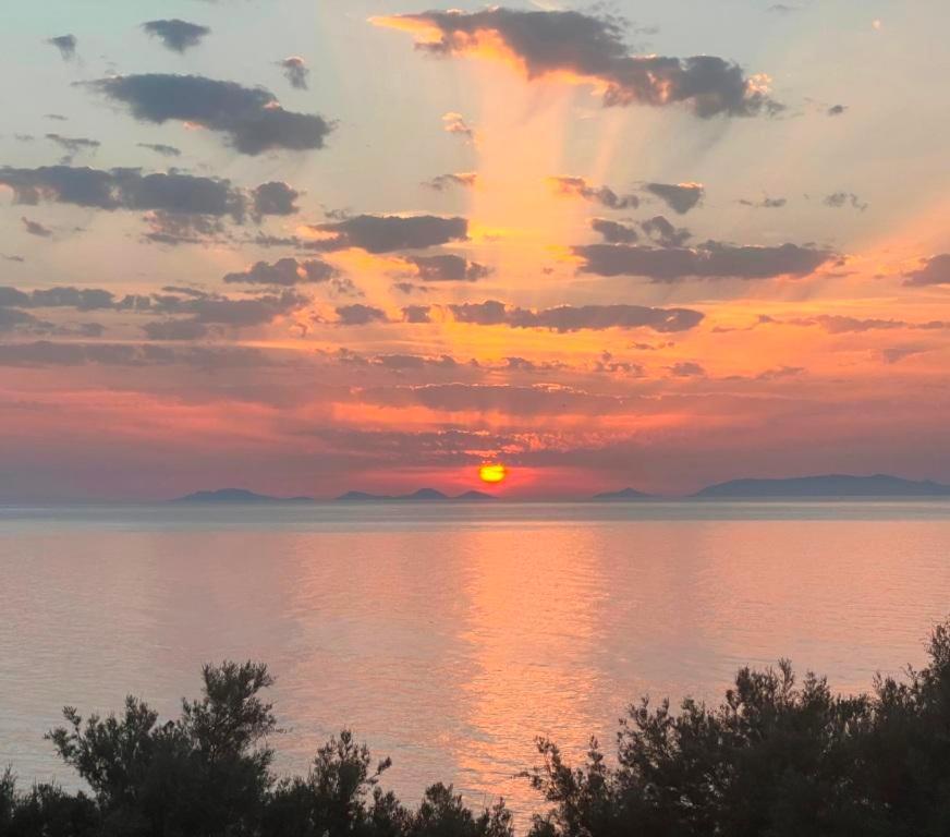 Alba Stupendo Appartamento In Villa Fronte Mare - Golfo Dell'Asinara - Internet Free Valledoria  Dış mekan fotoğraf